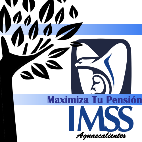 Maximiza tu Pensión IMSS